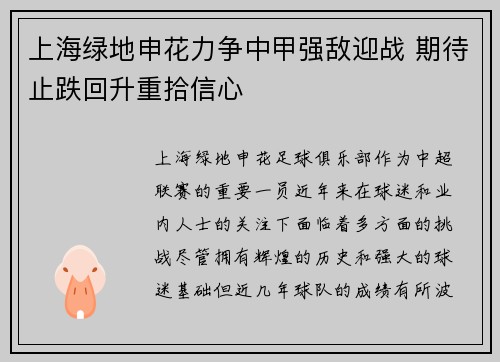 上海绿地申花力争中甲强敌迎战 期待止跌回升重拾信心
